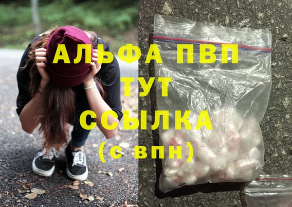 ПСИЛОЦИБИНОВЫЕ ГРИБЫ Белоозёрский