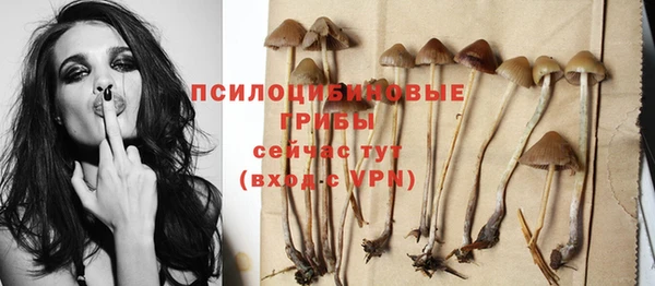 ПСИЛОЦИБИНОВЫЕ ГРИБЫ Белоозёрский