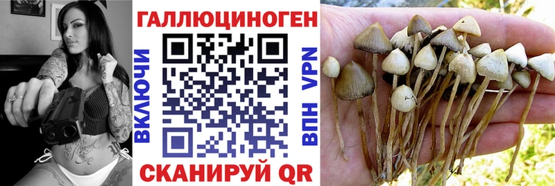 закладка  Бугульма  Галлюциногенные грибы прущие грибы 